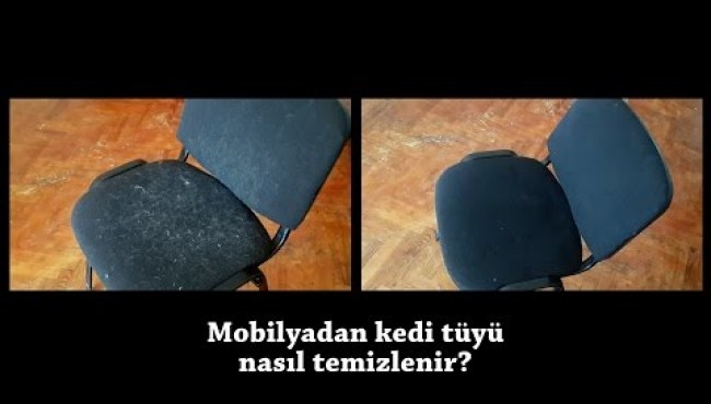 Mobilya'dan Kedi - Köpek Tüyü Nasıl Temizlenir?